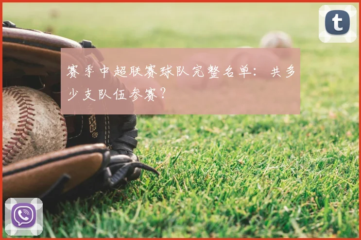 赛季中超联赛球队完整名单：共多少支队伍参赛？